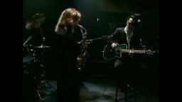 David A. Stewart & Candy Dulfer - Lily Was Here