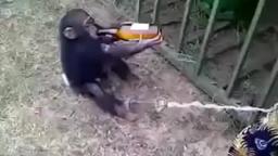 YO (Tito Comunista)  tomando cerveza