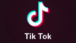 ironictiktok.mp4