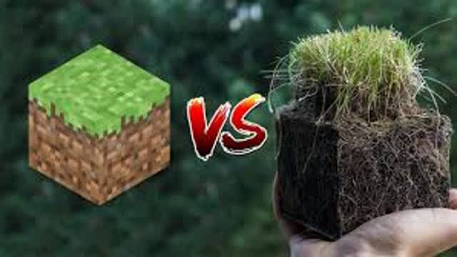 Minecraft Vs Real Life 4