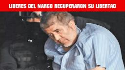 EN SEXENIO DE PEÑA NIETO DEFICIENCIAS LEGALES PERMITIERON QUE LÍDERES CAPTURADOS DEL NARCO RECUPER