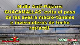 Malla Anti-Pájaros GUACAMALLAS® en macro-túneles e invernaderos de techo retráctil