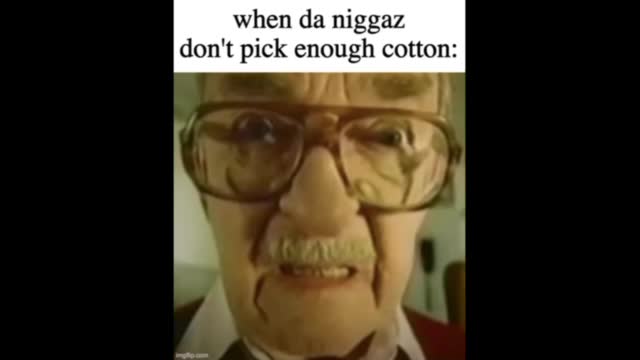 When da niggaz don’t pick enough cotton