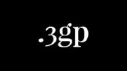 3GP