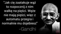 Gandhi - atak węża