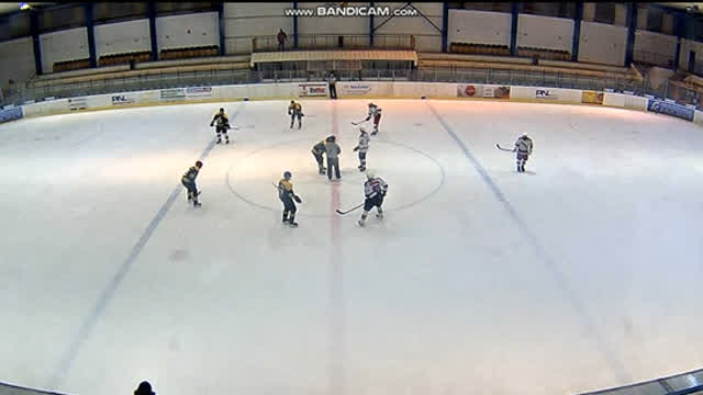 Czech ice hockey game on security camera