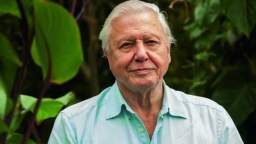 David Attenborough's American Negro : The Survival of the fittest