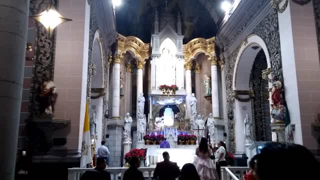 Interior de la Catedral Basílica de la Inmaculad02