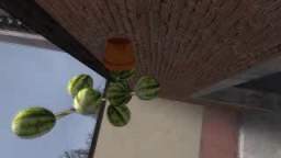 The Suicidal Drunk Watermelon guy kills himself.