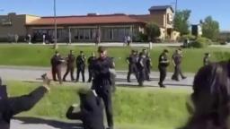 A police dog bites a BLM protester from behind.