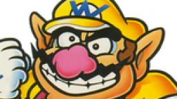 DO THE wario