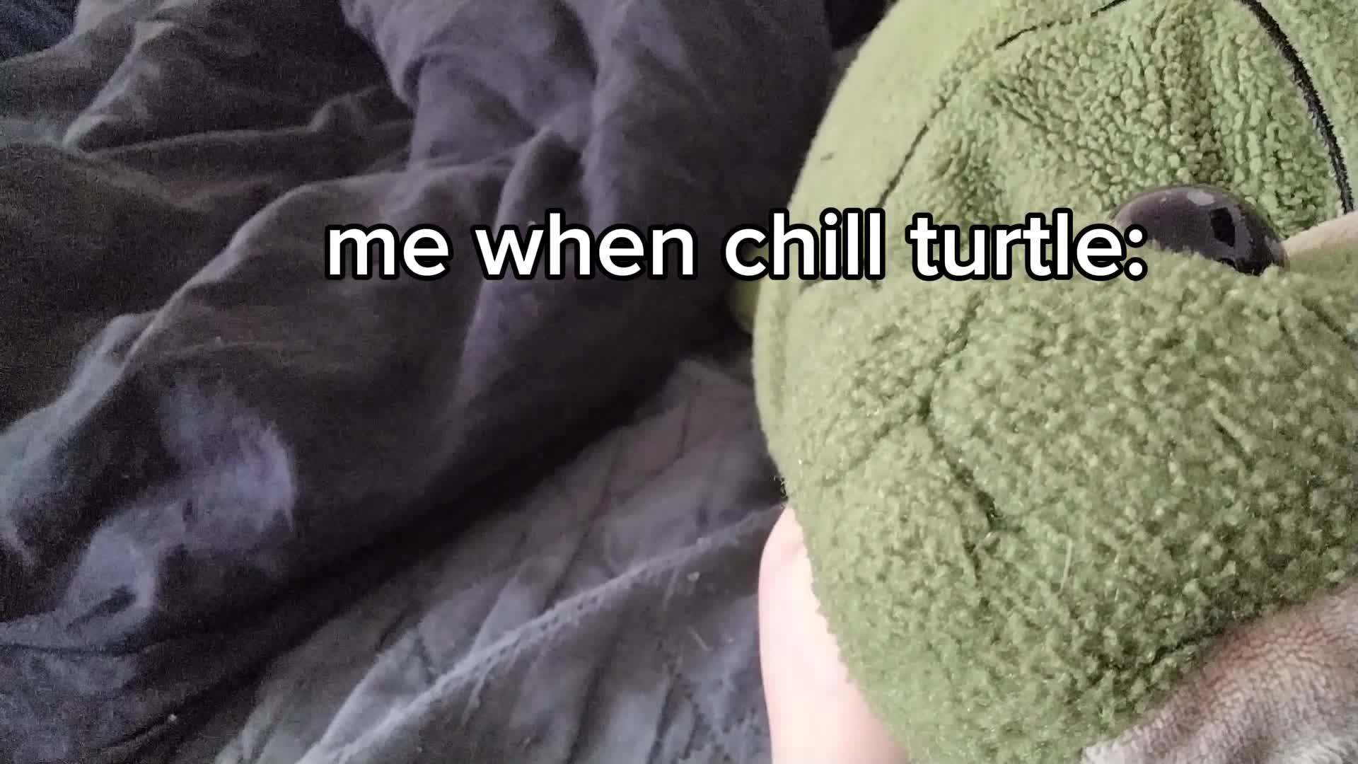 Chill Turtle Meme