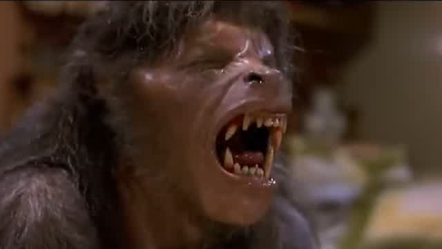 Werewolf transformation scene (American werewolf in London)