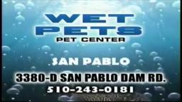 Wet Pets