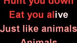 Animals