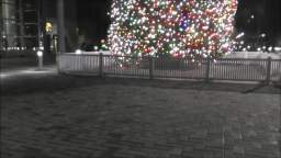 RXR PLAZA CHRISTMAS TREE 2022