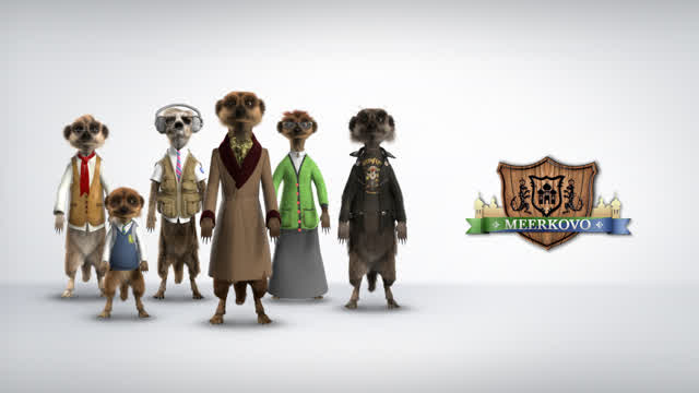 Behind the Scenes of Meerkovo.com