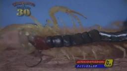 Japanese Bug Fights: Tawian Centipede vs. Egyptian Golden Scorpion (S01E24)