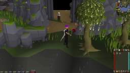 (OSRS) Loot From Cutting Magic Tree [yprrGvGzg5Q]