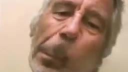 Jeffrey Epstein sings baka mitai