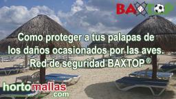 Como proteger a tus palapas de los daños ocasionados por las aves. Red de seguridad BAXTOP®