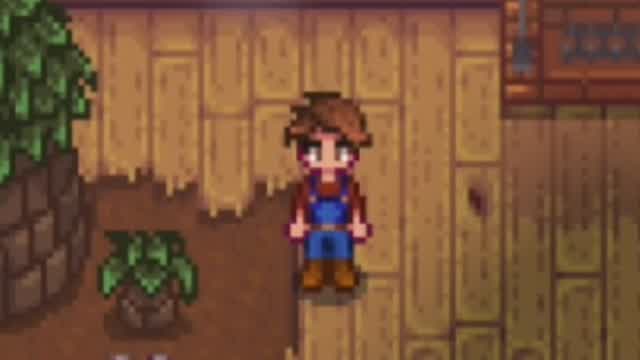 Community Center - Stardew Valley Building Exploration #21