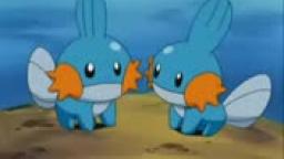 mudkip