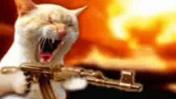 Cat with AK-47