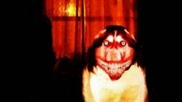 Creepypasta: Crees que los Perros no Sonrien