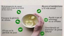 Propiedades y beneficios del té verde en ayunas ¿porque es bueno tomarlo