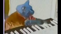 Keyboard Cat in G Major