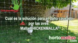 Cuál es la solución para el daño causado por las aves. Malla CHICKENMALLA®