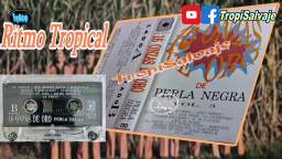 Perla negra ritmo Tropical 16 onzas de oro