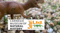 Safari Ltd Carnegie 2003 Sinraptor Review