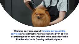 Mobile pet grooming for cats with matted fur