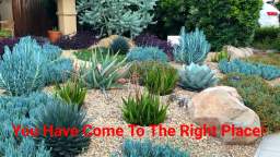 Taylors Landscape Design in Westlake Village, CA