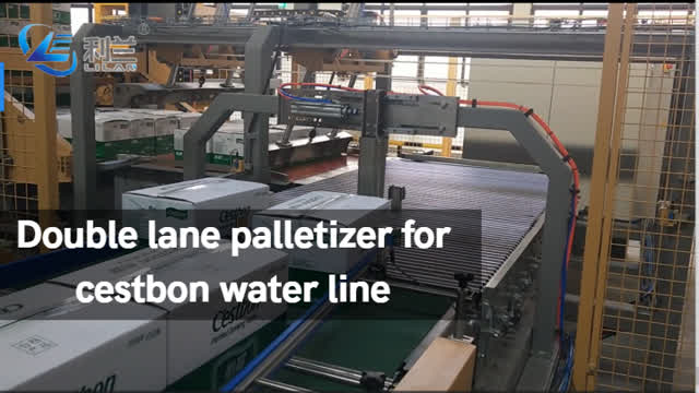 Double lane palletizer for water line best quality | ShangHai LiLan