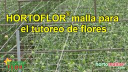 HORTOFLOR® malla para el tutoreo de flores