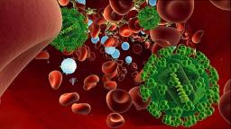 Medical Animation of HIV And AIDS - What is HIV AIDS