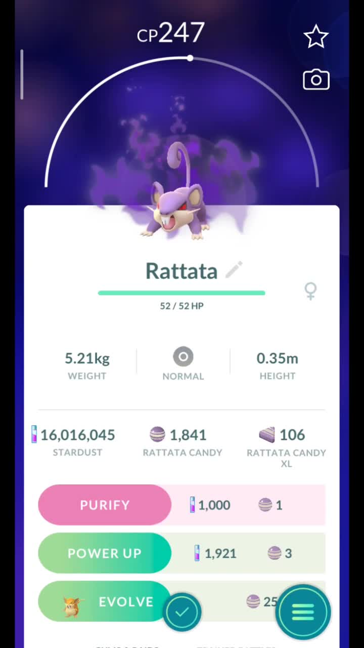 Pokémon GO-Purifying Shadow Rattata