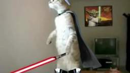 Standing Cat (Darth Vader)