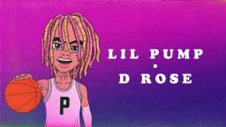 Lil Pump - 'D Rose' (Official Audio)