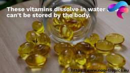 Understanding Vitamins: Water-Soluble vs. Fat-Soluble