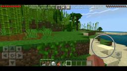 Minecraft Survival