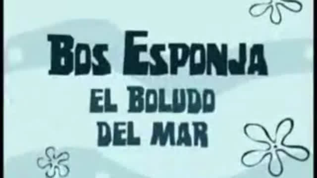 bos esponja el boludo del mar