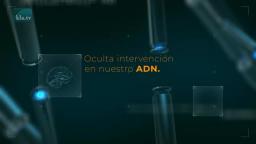 Fase dos - ¿un bloqueo de ADN - ¡entonces sálvese quien pueda