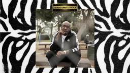 Freddie Gibbs & Madlib - High