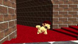 SM64: An awkward moment.