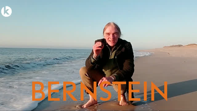 Dekorative Mineralien: Bernstein