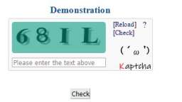 Kaptcha℠ Tutorial - Kolyma Network Corporation